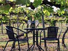 De Vine Escape - Whitsundays Accommodation 2