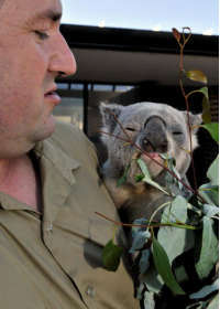 Consise By Moonlight Head Private Lodges - Whitsundays Accommodation 5