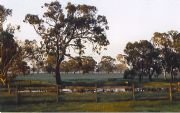 Ardwick Homestead - Whitsundays Accommodation 1