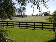 Ardwick Homestead - Whitsundays Accommodation 2
