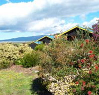 Black Cockatoo Cottages - Whitsundays Accommodation