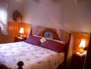 Alfay Cottage - Whitsundays Accommodation 1