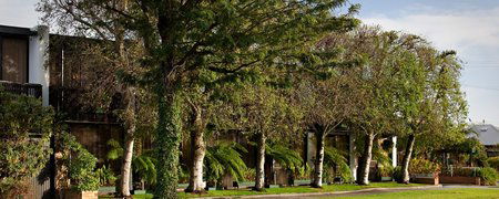 Connells Motel - Whitsundays Accommodation 4