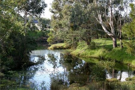 Sale Motor Village - Whitsundays Accommodation 2
