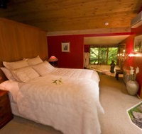 Linden Gardens Rainforest Retreat - Whitsundays Accommodation