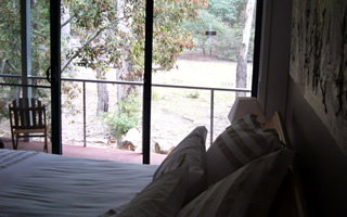 Glengarriff Town Houses - Whitsundays Accommodation 0