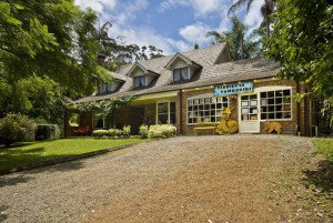 Tamborine Mountain QLD Whitsundays Accommodation