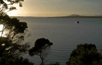 Echo Hills - Whitsundays Accommodation 4