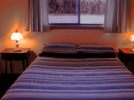 Lake Yalleena Cabins - Whitsundays Accommodation