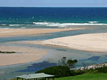 Scamander Beach Hotel Motel - Whitsundays Accommodation 0