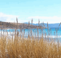 White Sands Estate - Whitsundays Accommodation