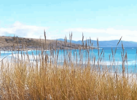 White Sands Estate - Whitsundays Accommodation 0