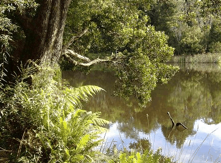 Weldborough Hotel - Whitsundays Accommodation 0