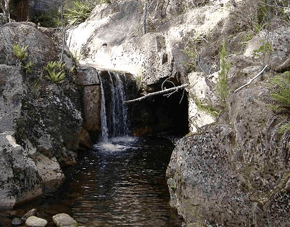 Weldborough Hotel - thumb 1