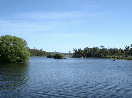 Currawong Lakes - Whitsundays Accommodation