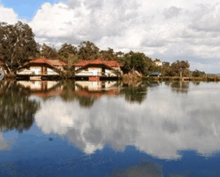 Lakeside Country Resort