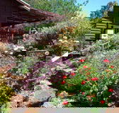 Chestnut Brook Cottage - Whitsundays Accommodation