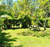 Wooli Caravan Park - Whitsundays Accommodation