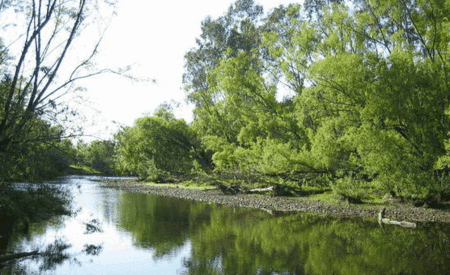 Ribbonwood Cottages - Whitsundays Accommodation