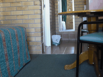 Dragon  Phoenix Motel - Whitsundays Accommodation