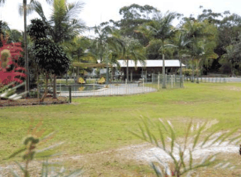 Minnie Water Holiday Park - Whitsundays Accommodation 5