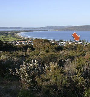 The Castlereagh 4 - Whitsundays Accommodation 4