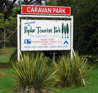 Poplar Tourist Park - Whitsundays Accommodation