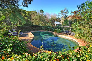 Acacia Dreaming At Light On Retreat - Whitsundays Accommodation 3