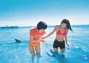  Whitsundays Accommodation