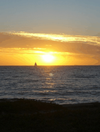 Kidogo Arthouse - Whitsundays Accommodation 1