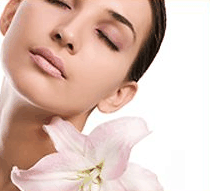 Stephanies Spa Retreat - Whitsundays Accommodation