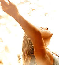 Radiant Body Bar - Whitsundays Accommodation 1