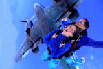 Simply Skydive - Whitsundays Accommodation 2