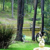 Gain Life Healing Health Retreat - Whitsundays Accommodation 2