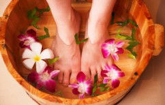 Indulge Spa Retreat - Whitsundays Accommodation 0
