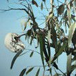 Dianne Tanzer Gallery & Projects - Whitsundays Accommodation 1