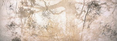 Dianne Tanzer Gallery & Projects - Whitsundays Accommodation 3