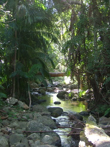 Thunderbird Park - Whitsundays Accommodation 2