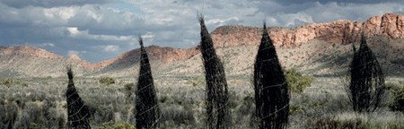 Australian Galleries - Whitsundays Accommodation 3