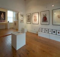 Bird's Gallery - Whitsundays Accommodation