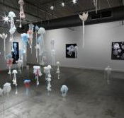 Nellie Castan Gallery - Whitsundays Accommodation