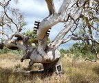 Colour Factory Gallery - Whitsundays Accommodation 3