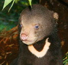 Perth Zoo - Whitsundays Accommodation