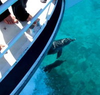 Pelican Charters - Whitsundays Accommodation