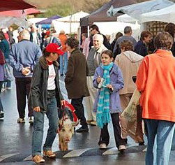  Whitsundays Accommodation