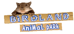 Birdland Animal Park - Whitsundays Accommodation