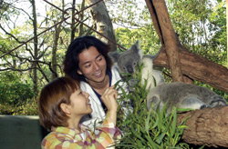 Taronga Zoo - Whitsundays Accommodation 2