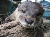 Underwater World - Whitsundays Accommodation 1