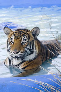  Whitsundays Accommodation