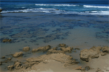 Canberra Contemporary Art Space - Whitsundays Accommodation